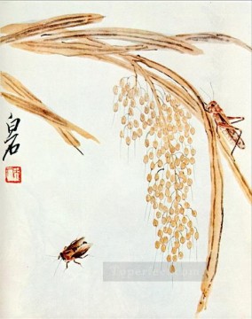 traditional Painting - Qi Baishi whisk rice and grasshoppers traditional Chinese